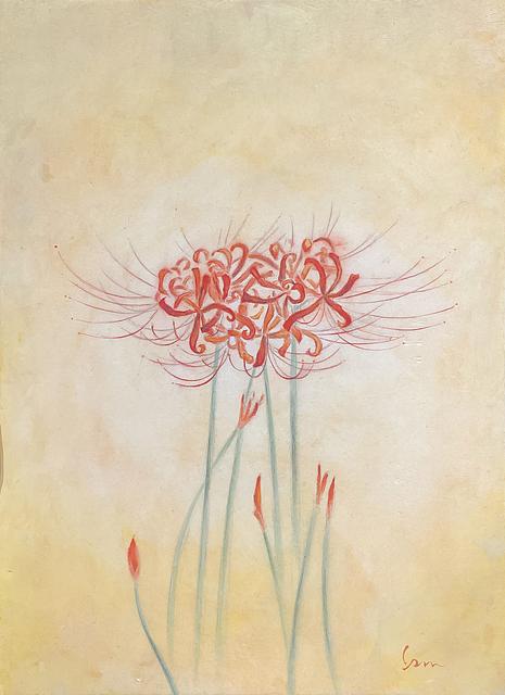 Lycoris