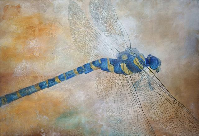 Dragonfly