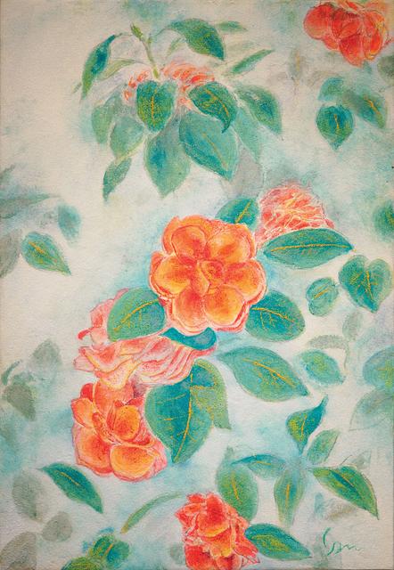 Camellias